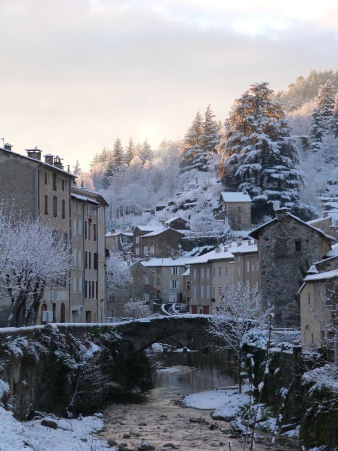Cocon Des Cevennes - Pierre De Lune Saint-André-de-Valborgne Dış mekan fotoğraf